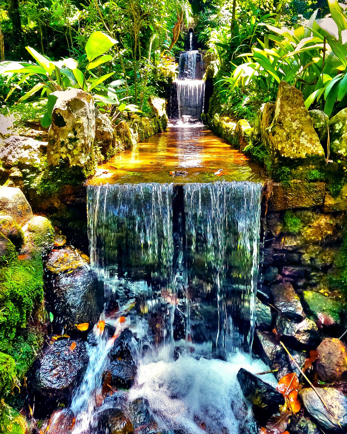 Jardim Botânico, Rio de Janeiro