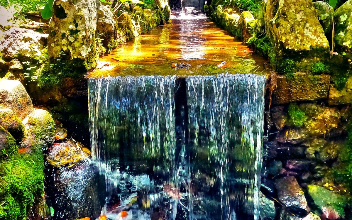 Jardim Botânico, Rio de Janeiro